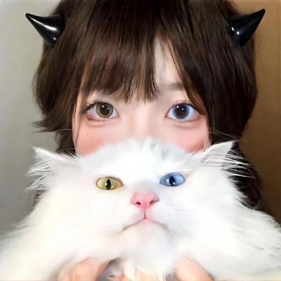 伟大圣心 在线观看